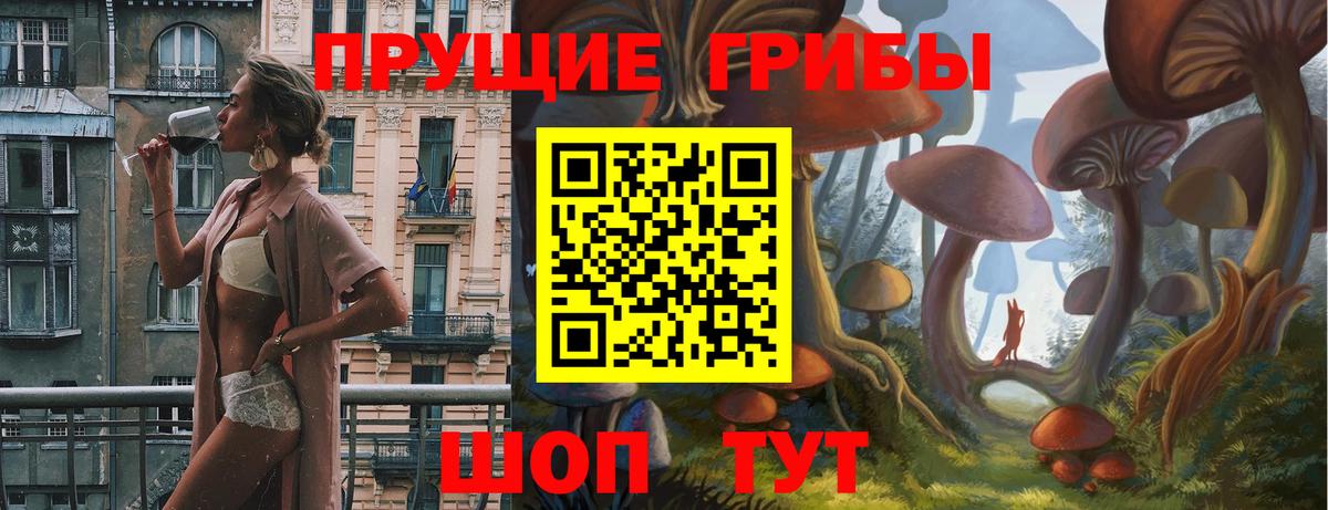 Псилоцибиновые грибы ЛСД  Вход с VPN  Псилоцибиновые грибы Psilocybe  Кириши 