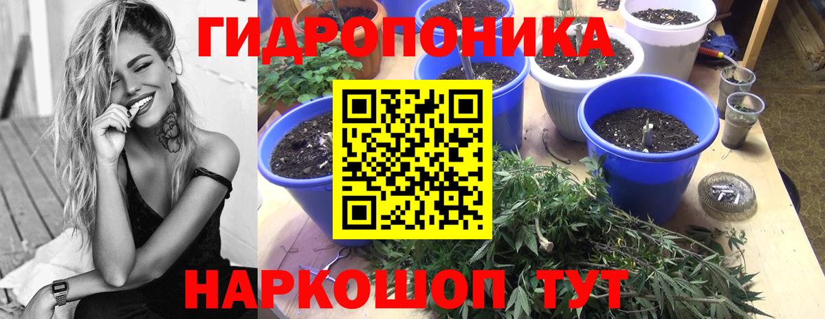 Канабис THC 21%  Вход с VPN  Каннабис план  Кириши 
